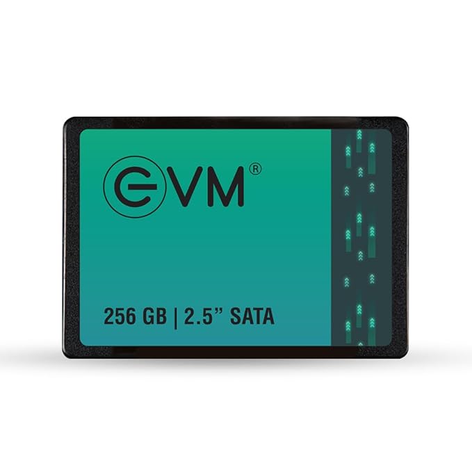 EVM 256 gb SSD